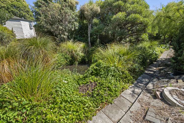 25 Molesworth Place Somerfield_22