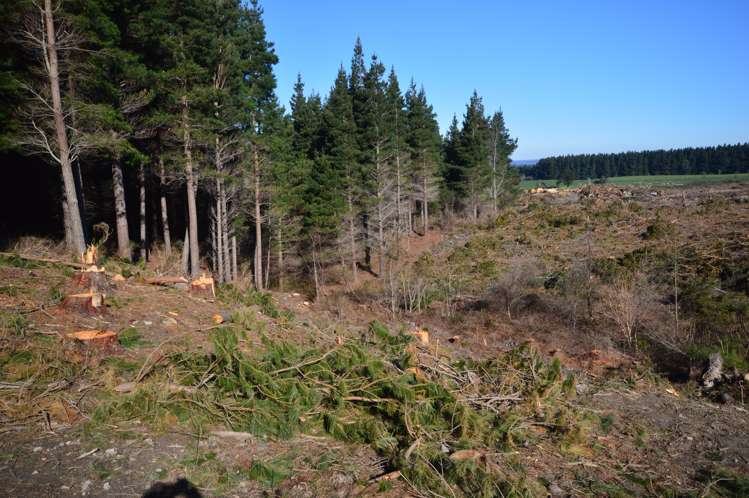 423 Hayland Road Okuku_8