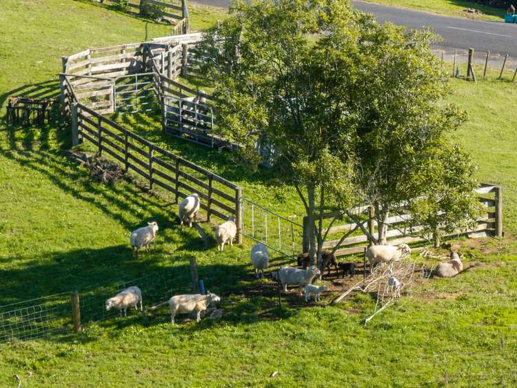 24 Rowe Road Whatawhata_7