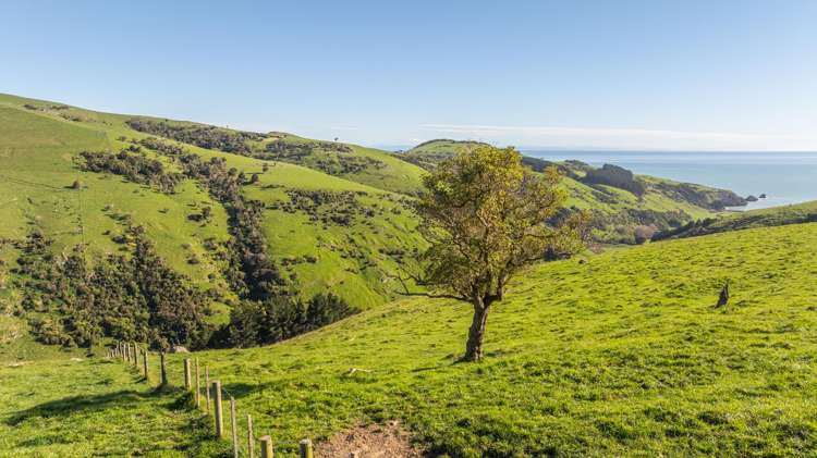 80-90 Seftons Road Little Akaloa_5