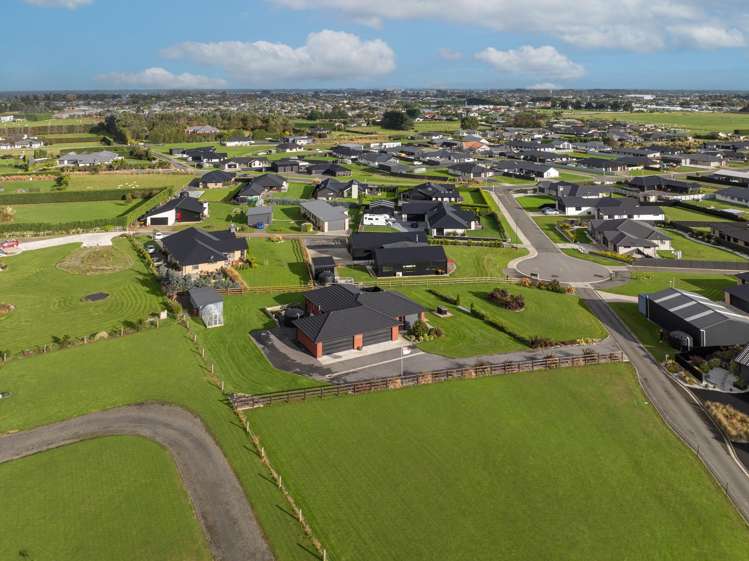 24 Chatham Rise Seaward Bush_28