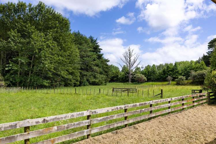 3761 State Highway 23 Raglan_20