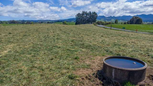 850 Ormsby Road Pirongia_2