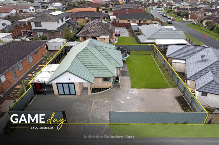 28 Robert Ross Place Clendon Park_0