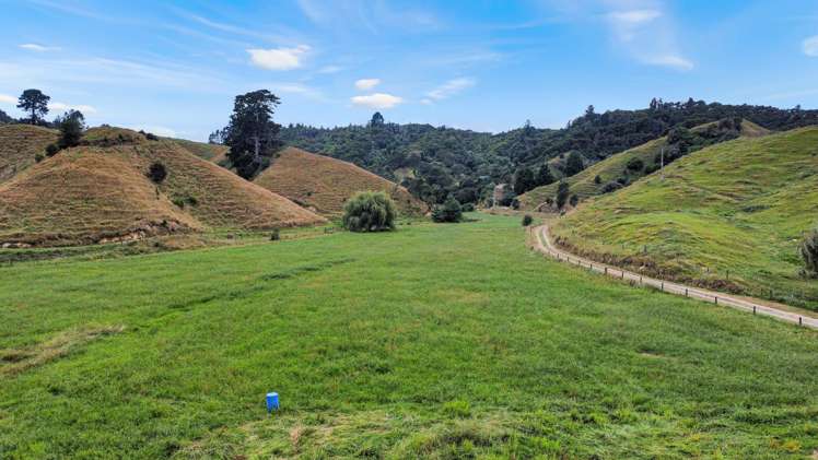 791B White Pine Bush Road Awakeri_48