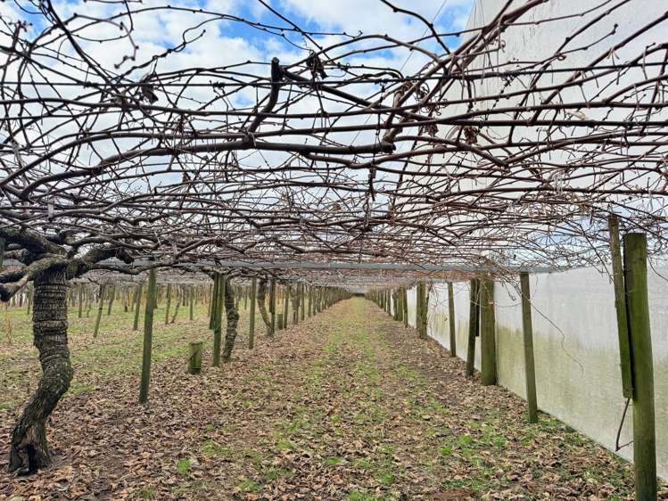 881B Te Matai Road Te Puke_1