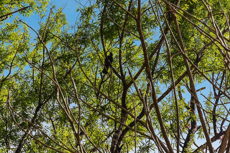 517 Helmsdale Road Waipu_15