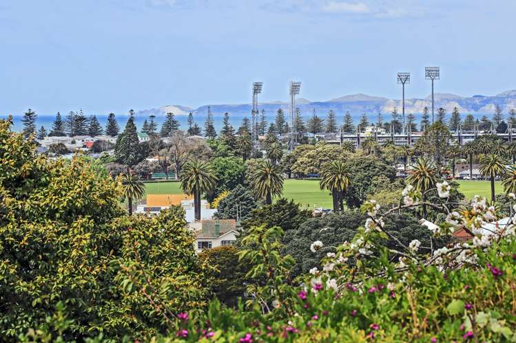 6 Guys Hill Road Hospital Hill_7