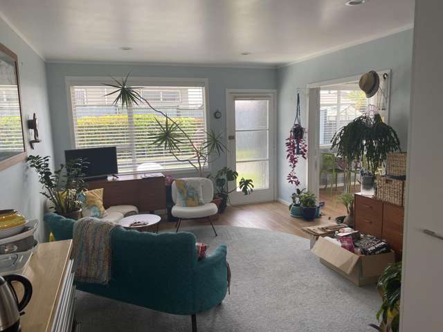 2b Moana Place Morrinsville_3