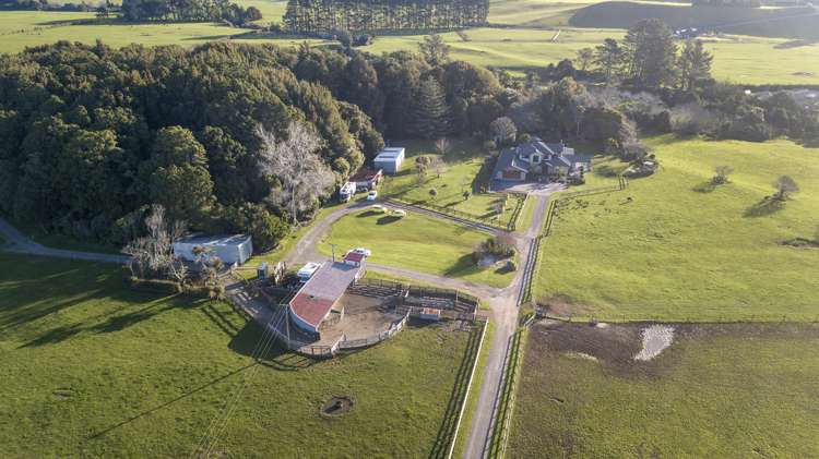 34 Lower King Road Tarurutangi_43