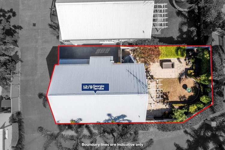 12/9 Georgia Terrace Albany_24