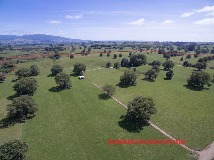 267 Frontier Road Te Awamutu_5