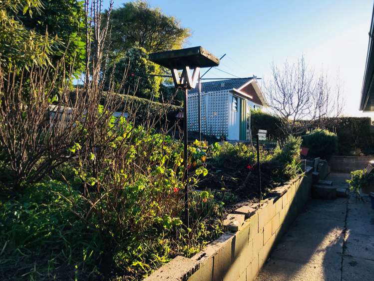 110 Doon Street Waverley_19