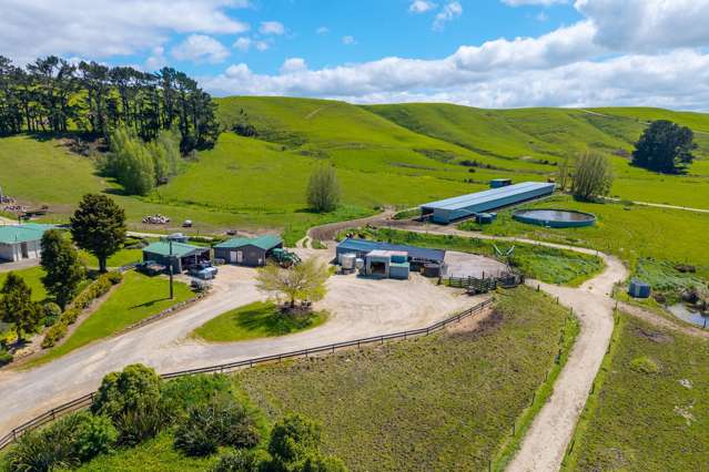 120 Priest Road Eketahuna_2