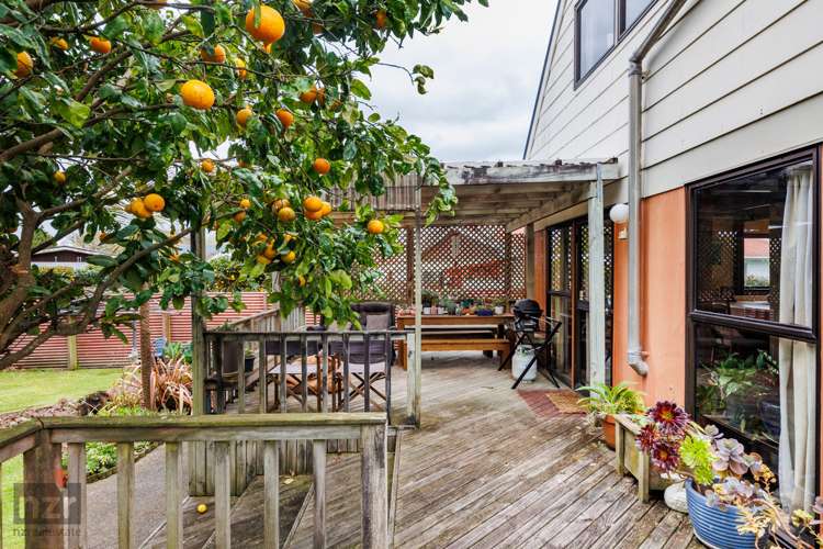 14 Lane Place Awapuni_15