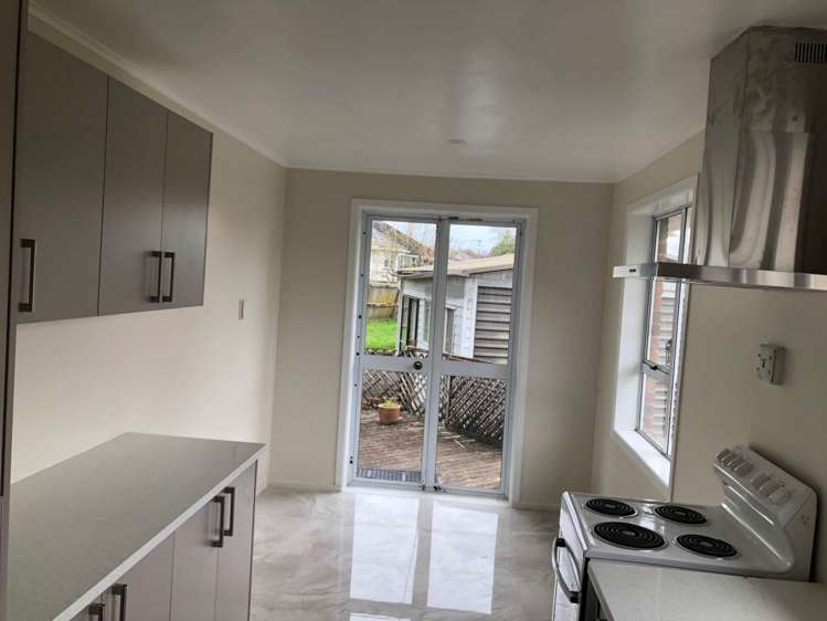 1 Larsen Road Panmure_3