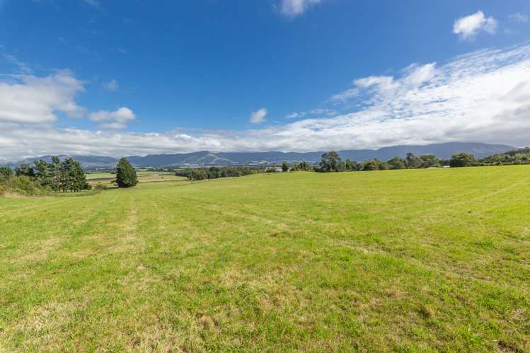 345 Summerhill Road Cust_7