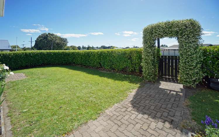 41 Boucher Avenue Te Puke_1