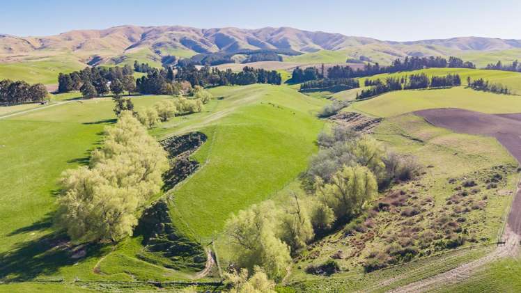 94 Douthwaites Road Waimate Surrounds_31