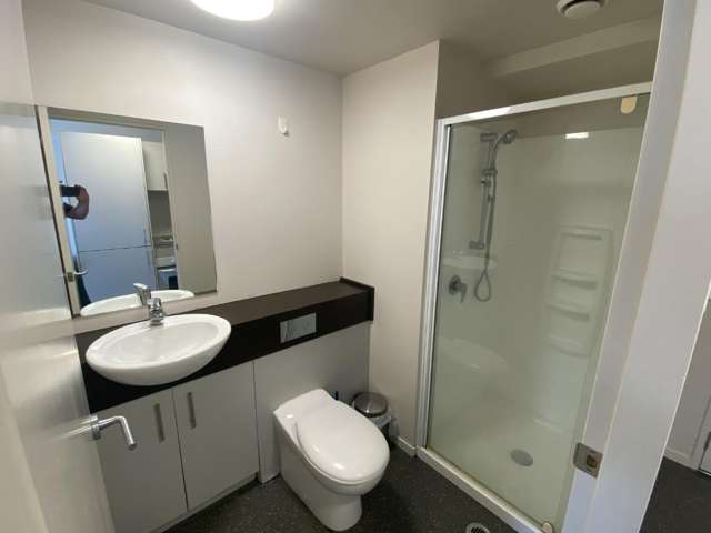 802A/170 Taranaki Street 2185_2