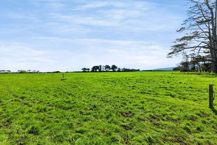 985 Manaia Road Kapuni_18