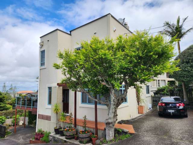 53 Te Kawa Road Greenlane_2