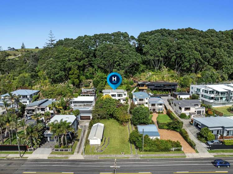 244 Pohutukawa Avenue_0