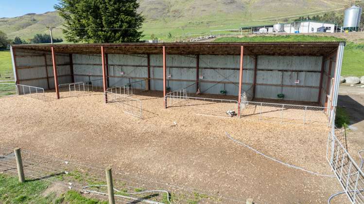 1317 Waimea Valley Road Nine Mile_6