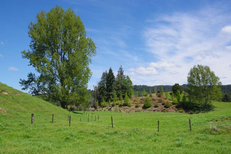 431 Arataki Road Mangakino_23