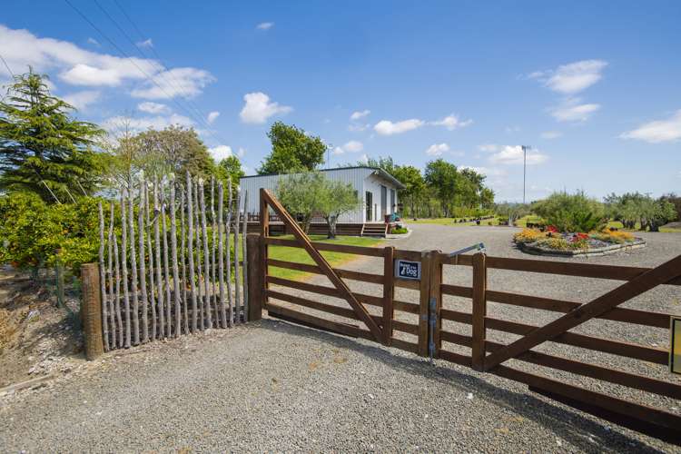 144 Makaraka Road Makaraka_3