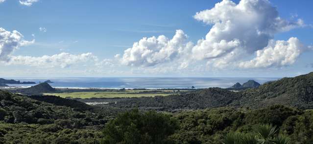 62 Kaitoke Lane Great Barrier Island_2