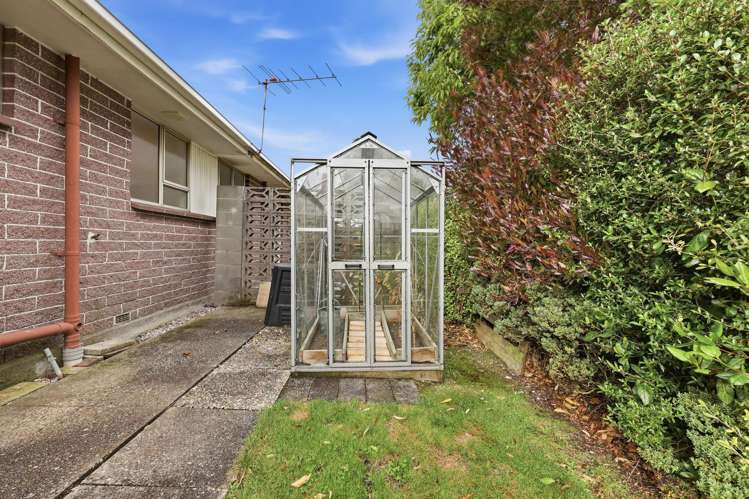33D Essex Street Balclutha_19