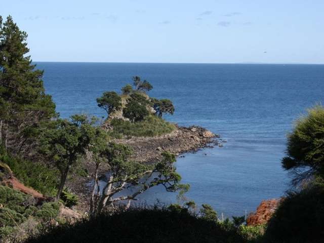 411 Schooner Bay Road Great Barrier Island (Aotea Island)_4