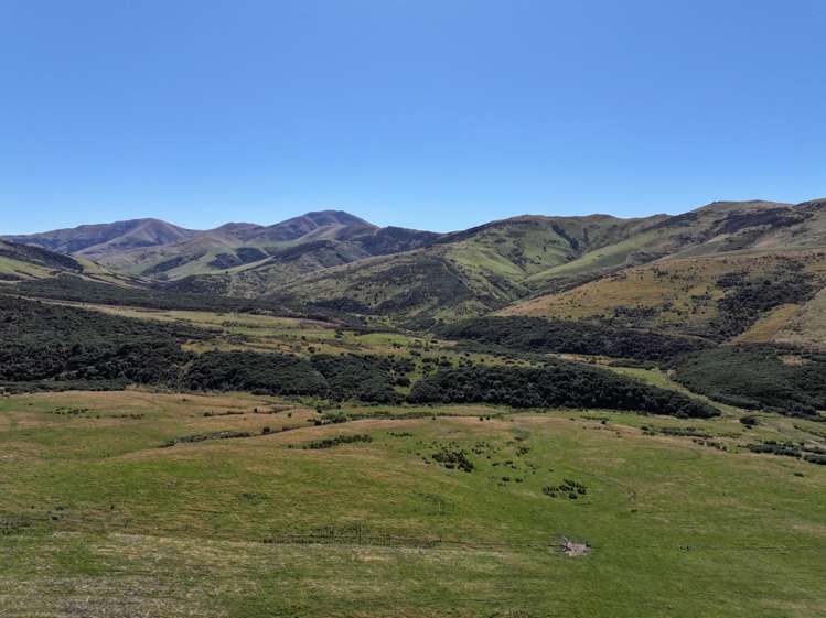 201 Sheepwash Creek Road Ardlussa_14