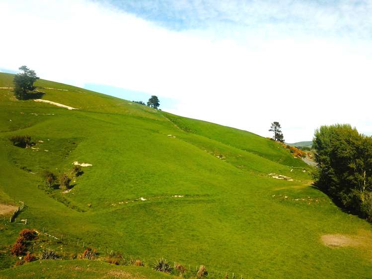 1726 Owaka Highway Kaka Point_8