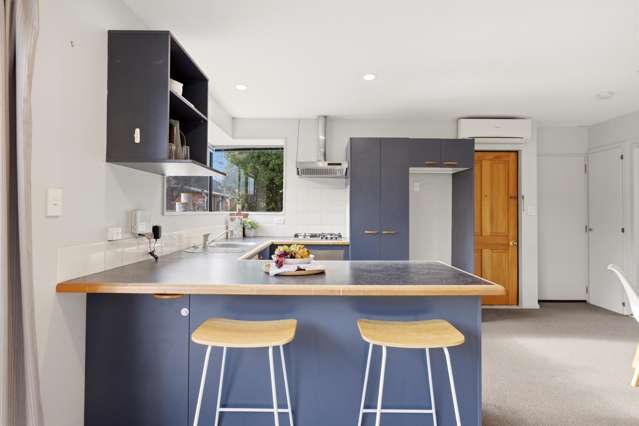 52 Rosewarne Street Spreydon_2
