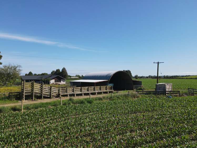 390 Marychurch Road Matangi_11