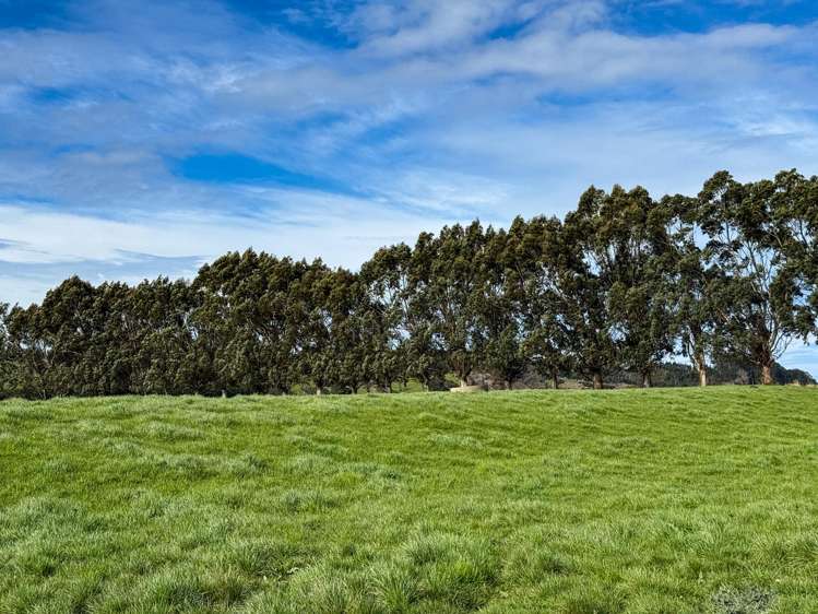 141 Mataura Island Titiroa Road Mataura Island_2