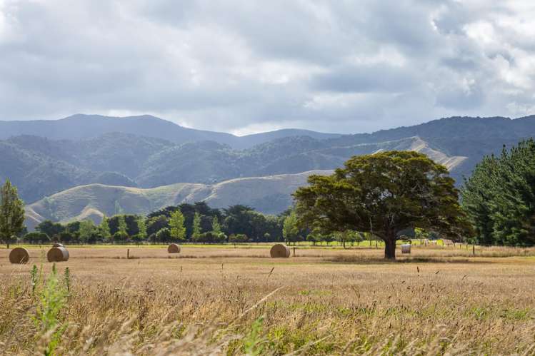277a Woodside Road Greytown_8