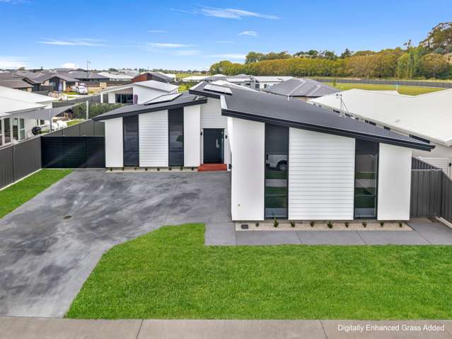 61 Pelorus Ave Poraiti_2