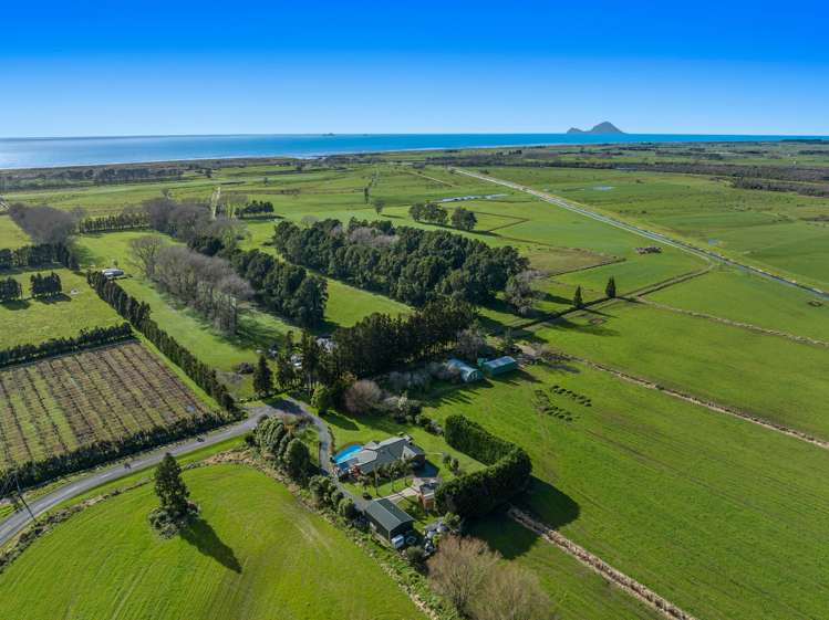 112 Burt Road Matata_29