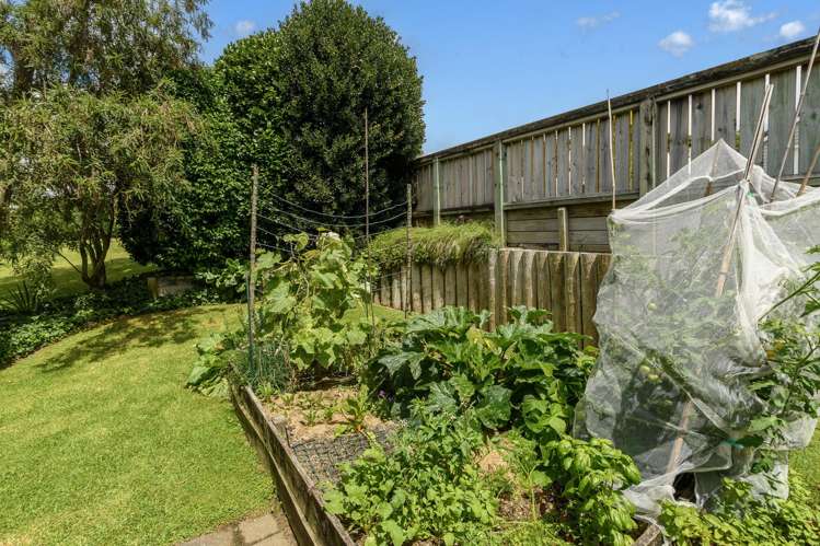 39a Harvey Street Avenues_28