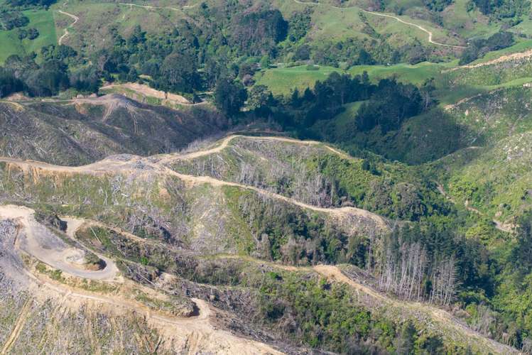 170 Mangaone North Road Te Horo_15