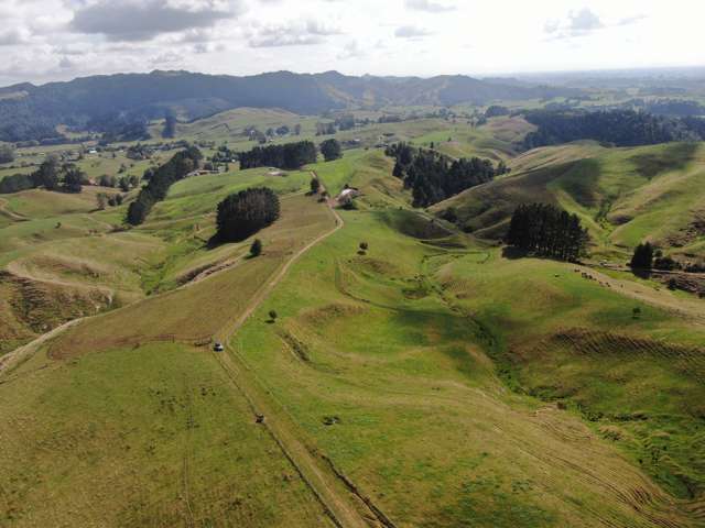 First Farm or Cattle Grazing Opportunity