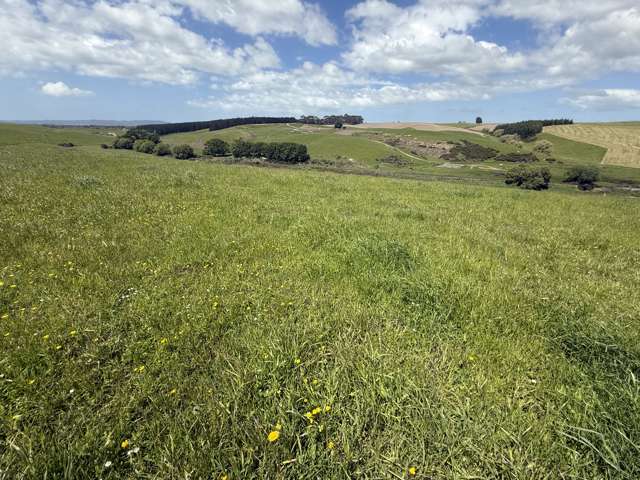 Kakapuaka Road Balclutha_3