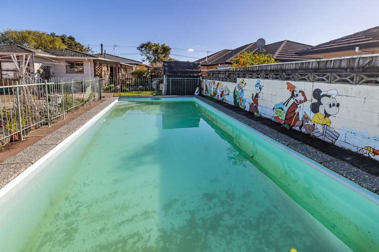 164 Winchester Street Levin_17