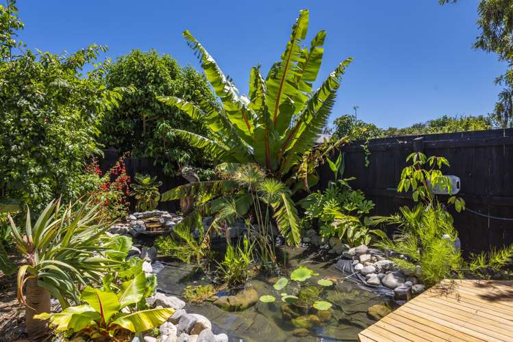 4 Graham Grove Waikanae_22