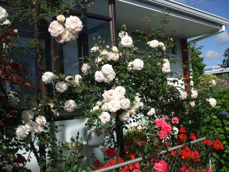 1/68 Ireland Road Mount Wellington_16