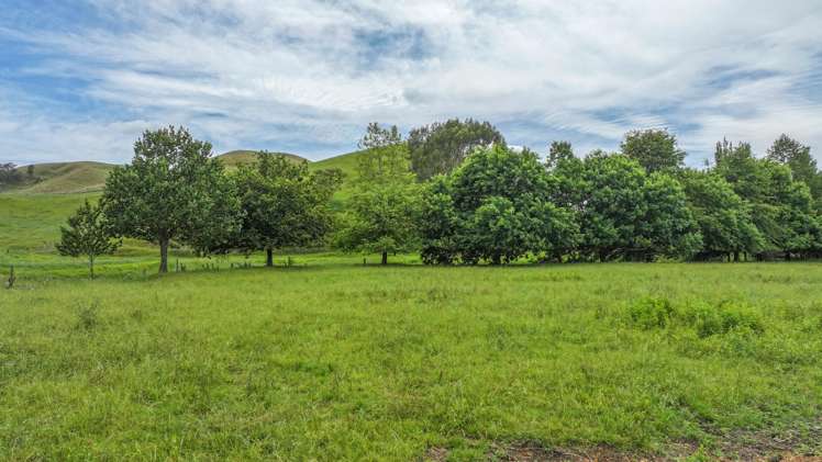 880 Kopuku Road Maramarua Forest_6