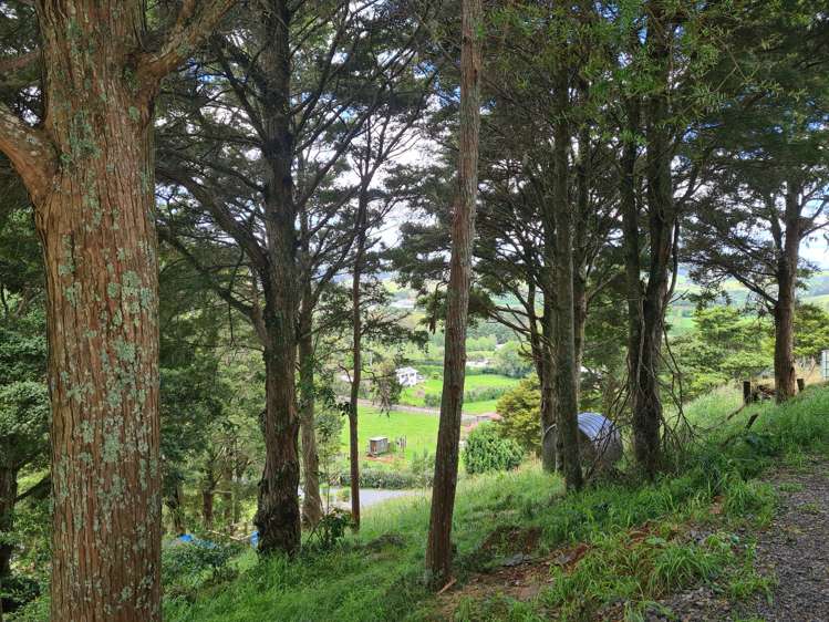 59 Puketotara Road Glenbervie_17